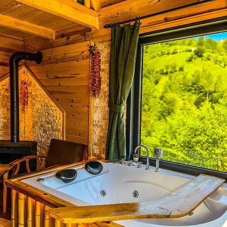 Takidagevleri Chalet *